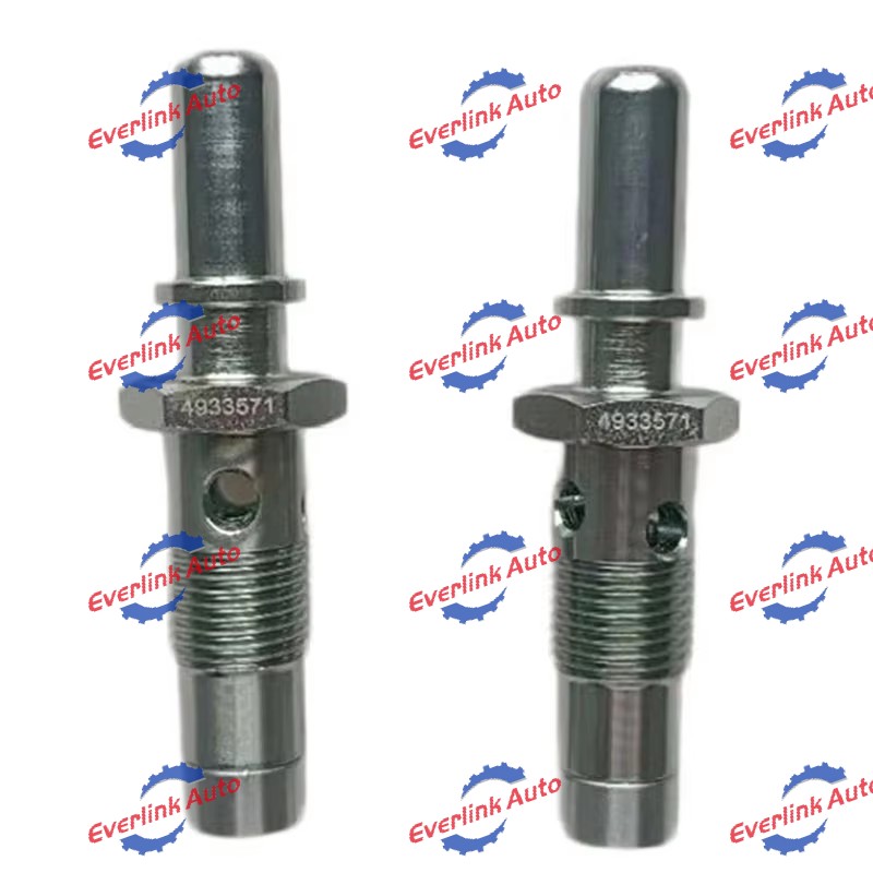 Check Valve 4933571 - Image 2