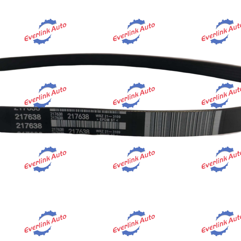 Water Pump Belt 217638 - Image 5