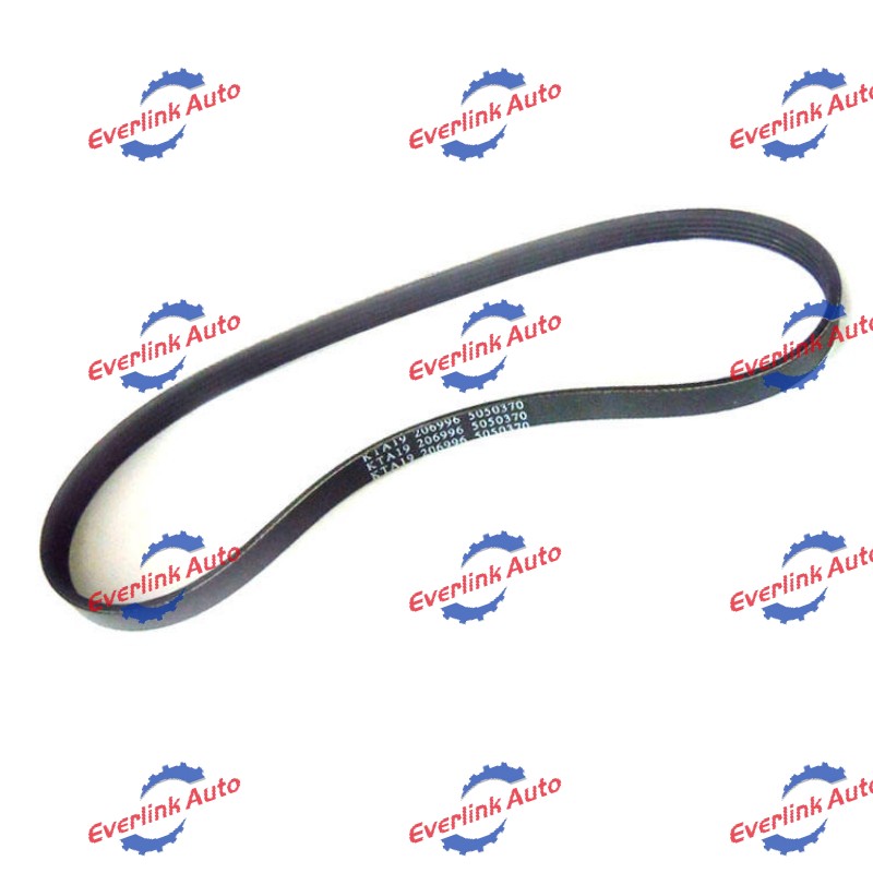 Water Pump Belt 217638 - Image 3