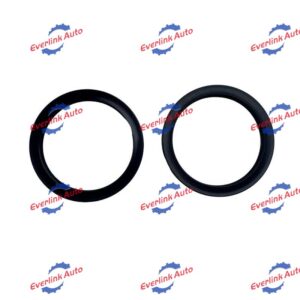 Sealing Ring 5269879