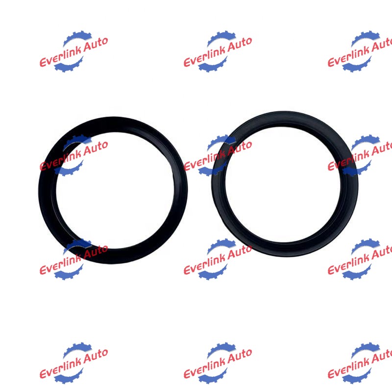 Sealing Ring 5269879