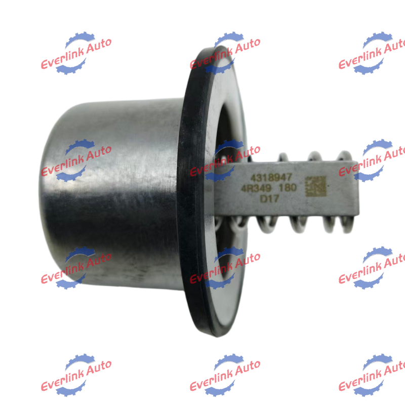Thermostat 4318947
