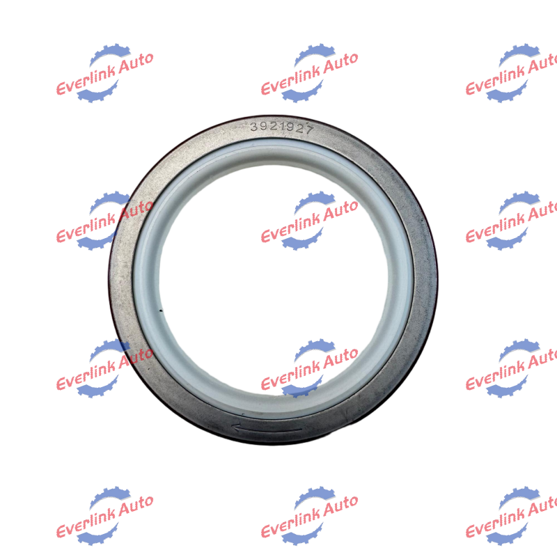 Crankshaft Oil Seal 3921927 - Image 2