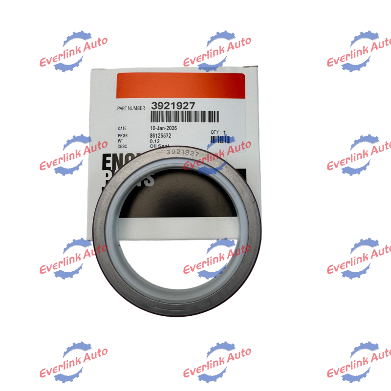 Crankshaft Oil Seal 3921927 - Image 5
