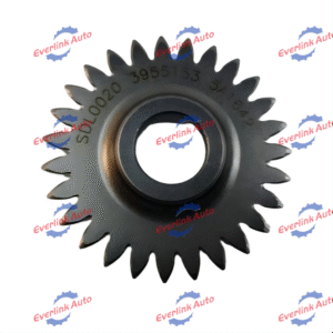 Fuel Pump Gear 3955153