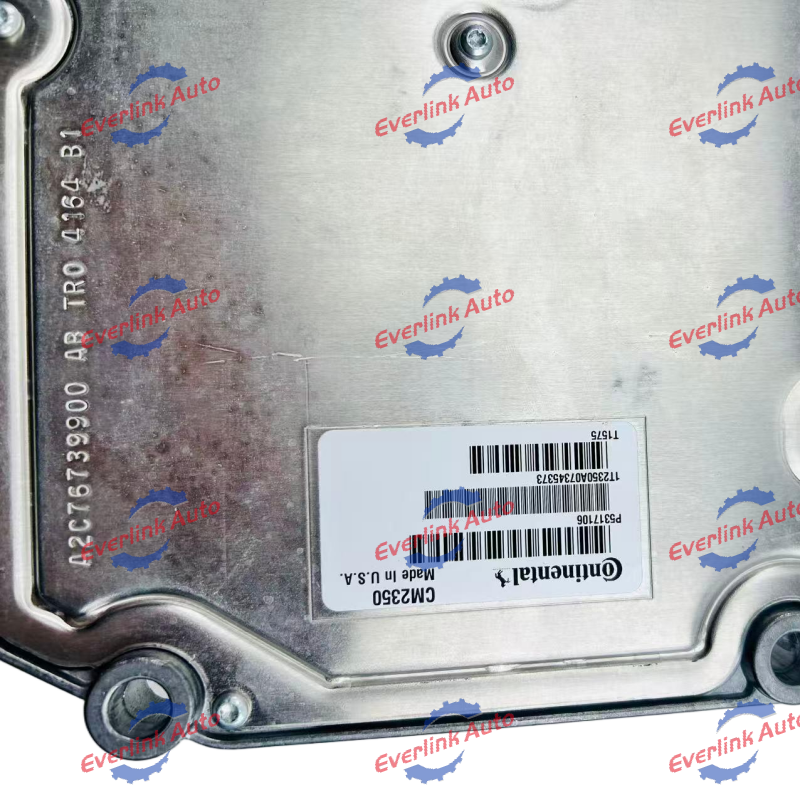 Electronic Control Module 5317106 - Image 5