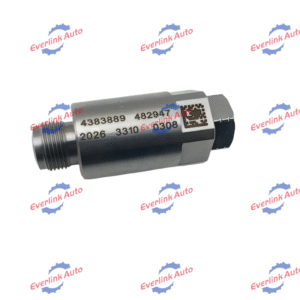 Pressure Relief Valve 4307195