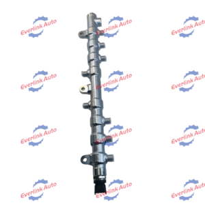 Common Rail Pipe D5010224030