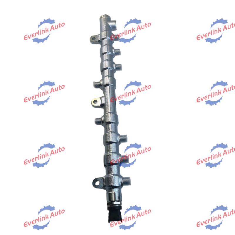 Common Rail Pipe D5010224030