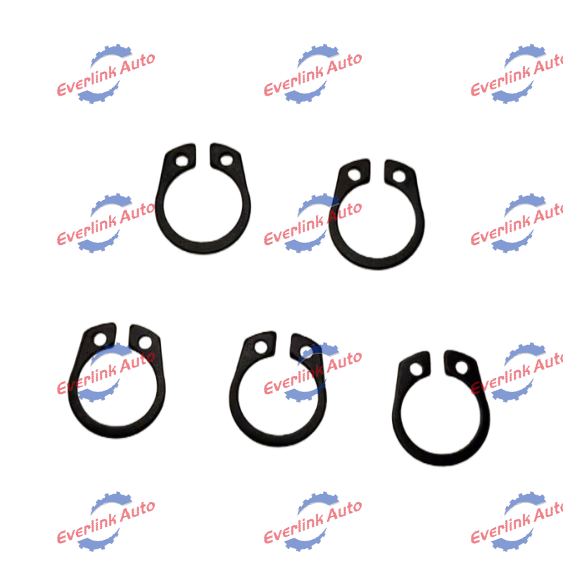 Fuel Pump Guard Ring 3068768 - Image 2