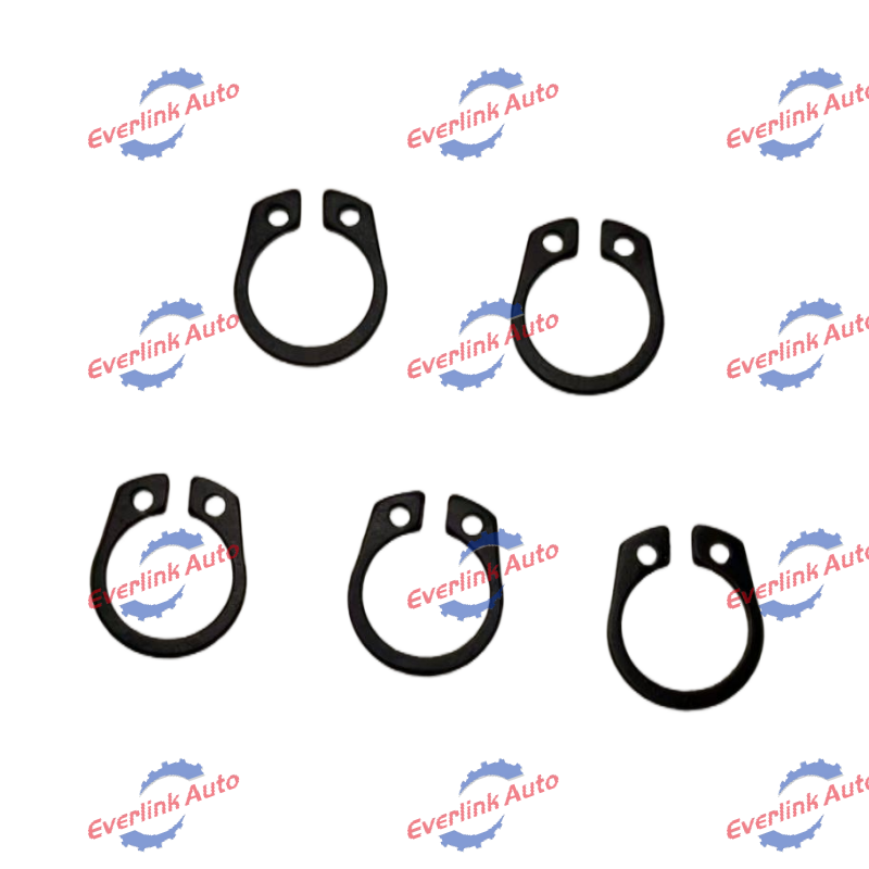 Fuel Pump Guard Ring 3068768 - Image 5
