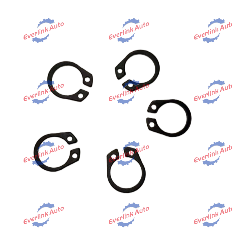 Fuel Pump Guard Ring 3068768 - Image 3